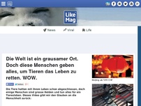 Bild zum Artikel: Die Welt ist ein grausamer Ort. Doch diese Menschen geben alles, um Tieren das Leben zu retten. WOW.