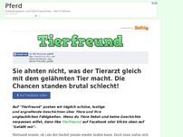 Bild zum Artikel: Sie ahnten nicht, was der Tierarzt gleich mit dem gelähmten Tier macht. Die Chancen standen...