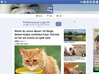 Bild zum Artikel: Wenn du eines dieser 10 Dinge deiner Katze verfüttert hast. Es könnte schon zu spät für sie sein.