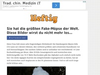 Bild zum Artikel: Sie hat die größten Fake-Möpse der Welt. Diese Bilder wirst du nicht mehr los…