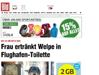 Bild zum Artikel: Weil er ihr lästig war! - Frau ertränkt Welpe in Flughafen-Toilette