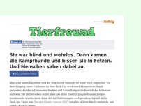 Bild zum Artikel: Sie war blind und wehrlos. Dann kamen die Kampfhunde und bissen sie in Fetzen. Und Menschen...