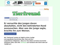 Bild zum Artikel: Er versuchte den Jungen davon abzuhalten, nicht den behinderten Hund auszusuchen. Aber was der...