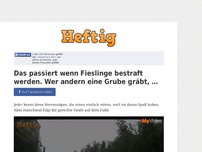 Bild zum Artikel: Das passiert wenn Fieslinge bestraft werden. Wer andern eine Grube gräbt, …