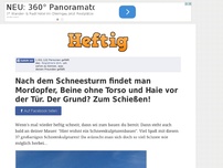 Bild zum Artikel: Nach dem Schneesturm findet man Mordopfer, Beine ohne Torso und Haie vor der Tür. Der Grund? Zum...