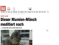 Bild zum Artikel: Experte glaubt - Dieser Mumien-Mönch meditiert noch