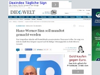 Bild zum Artikel: Krieg der Ökonomen: Hans-Werner Sinn soll mundtot gemacht werden
