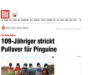 Bild zum Artikel: Für guten Zweck! - 109-Jähriger strickt Pullover für Pinguine