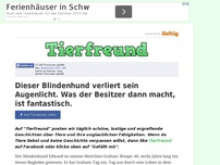 Bild zum Artikel: Dieser Blindenhund verliert sein Augenlicht. Was der Besitzer dann macht, ist fantastisch.