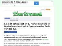 Bild zum Artikel: Eine 24-Jährige ist im 5. Monat schwanger. Doch dann steht beim Fernsehen das Ende vor der Tür.