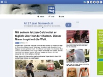 Bild zum Artikel: Mit seinem letzten Geld rettet er täglich über hundert Katzen. Dieser Mann inspiriert die Welt.