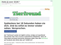 Bild zum Artikel: Spätestens bei 18 Sekunden haben sie dich. Und du willst es immer wieder sehen. Versprochen.