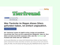 Bild zum Artikel: Was Tierärzte im Magen dieses Stiers gefunden haben, ist einfach unglaublich.