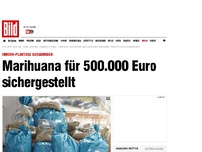 Bild zum Artikel: Riesige Indoor-Plantage - Marihuana für 500.000 Euro sichergestellt