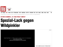 Bild zum Artikel: Hamburg St. Pauli - Spezial-Lack macht Wildpinkler nass