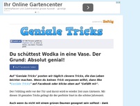 Bild zum Artikel: Du schüttest Wodka in eine Vase. Der Grund: Absolut genial!