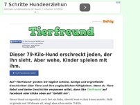 Bild zum Artikel: Dieser 79-Kilo-Hund erschreckt jeden, der ihn sieht. Aber wehe, Kinder spielen mit ihm.