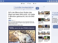 Bild zum Artikel: 94% der Menschen finden das Pferd auf dem Bild nicht. Ich habe 5 Minuten gebraucht, bis ich es fand.