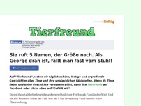 Bild zum Artikel: Sie ruft 5 Namen, der Größe nach. Als George dran ist, fällt man fast vom Stuhl!