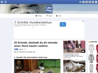 Bild zum Artikel: 25 Gründe, weshalb du dir niemals einen Hund kaufen solltest.