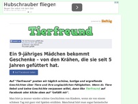 Bild zum Artikel: Ein 9-jähriges Mädchen bekommt Geschenke – von den Krähen, die sie seit 5 Jahren gefüttert hat.