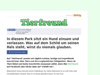 Bild zum Artikel: In diesem Park sitzt ein Hund einsam und verlassen. Was auf dem Schild um seinen Hals steht,...