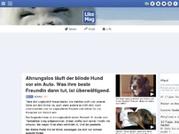 Bild zum Artikel: Ahnungslos läuft der blinde Hund vor ein Auto. Was ihre beste Freundin dann tut, ist überwältigend.