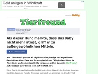 Bild zum Artikel: Als dieser Hund merkte, dass das Baby nicht mehr atmet, griff er zu außergewöhnlichen Mitteln.