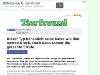 Bild zum Artikel: Dieser Typ behandelt seine Katze wie den letzten Dreck. Doch dann kommt die gerechte Strafe.