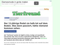 Bild zum Artikel: Der 11-Jährige findet sie halb tot auf dem Boden. Was dann passiert, hätte niemand kommen sehen.