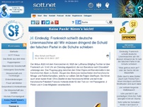 Bild zum Artikel: Eindeutig: Frankreich schießt deutsche Linienmaschine ab! Wir müssen dringend die Schuld der falschen Partei in die Schuhe schieben