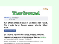 Bild zum Artikel: Am Straßenrand lag ein verlassener Hund. Sie traute ihren Augen kaum, als sie näher kam.