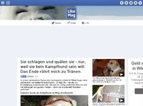 Bild zum Artikel: Sie schlagen und quälen sie - nur, weil sie kein Kampfhund sein will. Das Ende rührt mich zu Tränen.