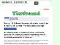 Bild zum Artikel: Diese 19 Schnarchnasen sind der absolute Knaller. Nr. 18 ist Freiheitsberaubung!