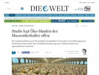 Bild zum Artikel: Umweltbundesamt : Studie legt Öko-Sünden der Massentierhalter offen