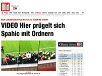 Bild zum Artikel: Das Video! - Hier prügelt sich Spahic mit Ordnern