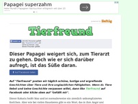 Bild zum Artikel: Dieser Papagei weigert sich, zum Tierarzt zu gehen. Doch wie er sich darüber aufregt, ist das...