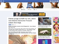 Bild zum Artikel: Dieser Junge schläft nur ein, wenn sein kleiner tierischer Freund neben ihm liegt.