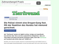 Bild zum Artikel: Die Polizei nimmt eine Drogen-Gang fest. Mit der Reaktion des Hundes hat niemand gerechnet.