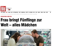 Bild zum Artikel: Sensation in den USA - Frau bringt Fünflinge zur Welt – alles Mädchen