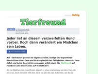 Bild zum Artikel: Jeder lief an diesem verzweifelten Hund vorbei. Doch dann verändert ein Mädchen sein Leben.