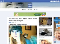 Bild zum Artikel: 28 Zeichen, dass deine Katze plant dich umzubringen.