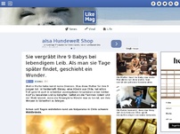 Bild zum Artikel: Wahre Mutterliebe - sie vergräbt ihre 9 Jungen unter der Erde und rettet sie so vor dem Feuertod.