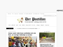 Bild zum Artikel: Immer mehr Inderinnen verkleiden sich als Kühe, um weniger belästigt zu werden