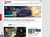 Bild zum Artikel: Tierischer Helfer: Wie ein Kater zum süßesten Krankenpfleger wurde