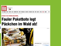 Bild zum Artikel: Wollte später liefern... - Fauler Paketbote legt Päckchen im Wald ab!