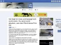 Bild zum Artikel: Sie liegt im Gras und bewegt sich nicht mehr. Du wirst nicht glauben, was das Pferd darauf hin tut.