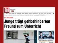 Bild zum Artikel: Seit drei Jahren - Junge trägtbehinderten Freund zum Unterricht