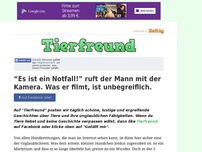 Bild zum Artikel: “Es ist ein Notfall!” ruft der Mann mit der Kamera. Was er filmt, ist unbegreiflich.