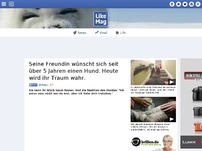 Bild zum Artikel: Seine Freundin wünscht sich seit über 5 Jahren einen Hund. Heute wird ihr Traum wahr.